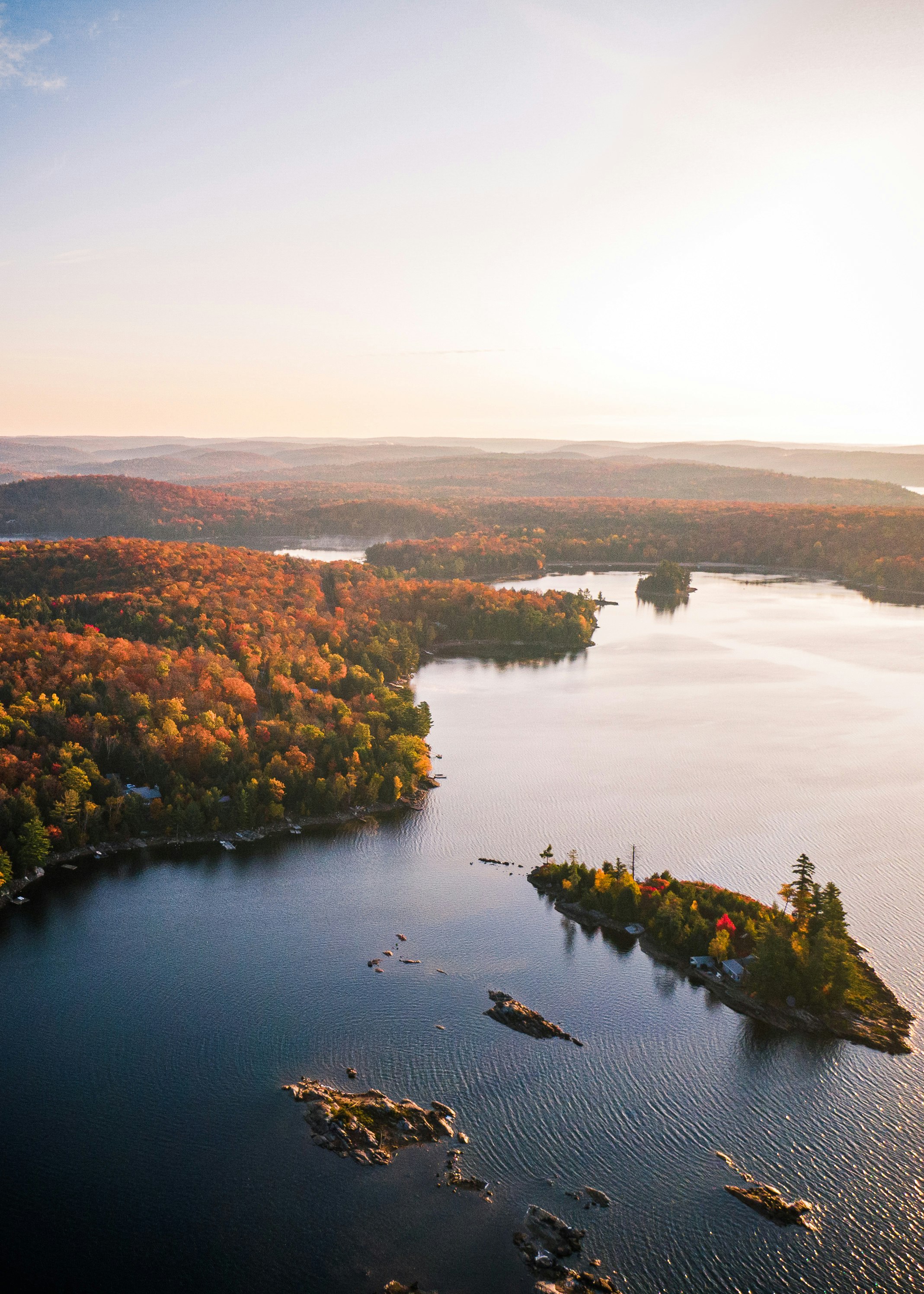 aerial view of green trees and lake during daytime